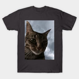 Cloudy with a Chance of Tabby T-Shirt